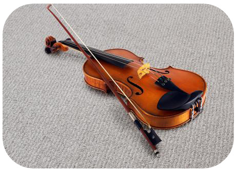 Violin