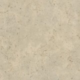 FOSSIL LIMESTONE AR0SFL33